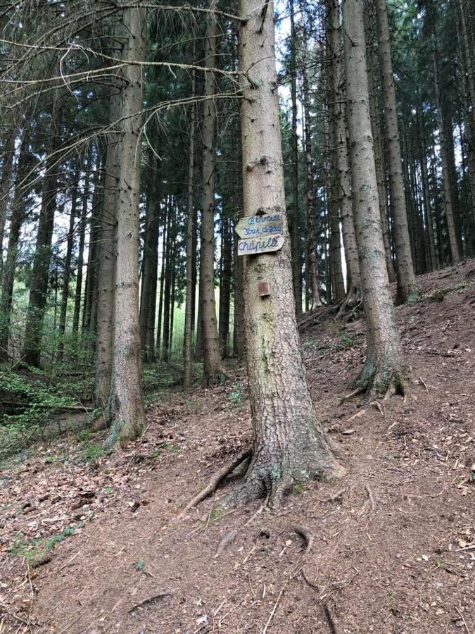 Le Cottage Du Raidillon Malmedy Zewnętrze zdjęcie