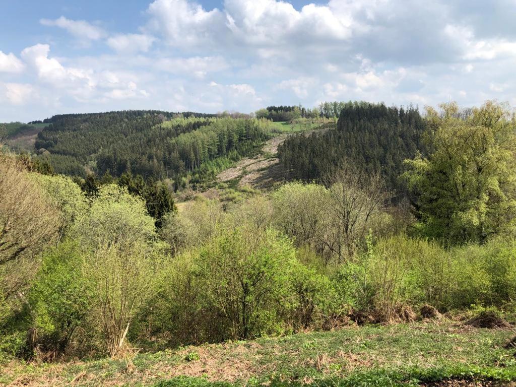 Le Cottage Du Raidillon Malmedy Zewnętrze zdjęcie